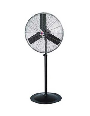 Pedestal Fan