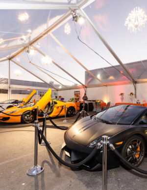 Clear Top Event Party Tent - 1