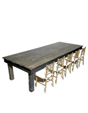 Modena Gray Child Height Table