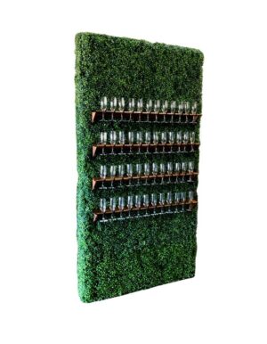 Boxwood Hedge Champagne Wall