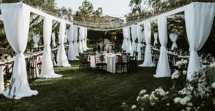 Enchanted Evening Under the Stars